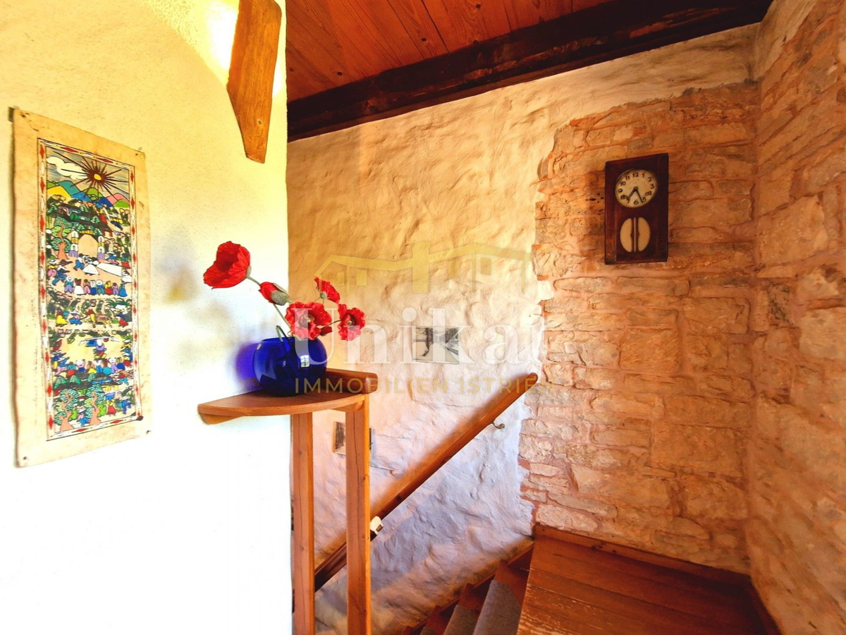 Autentica proprietà con casa in pietra e ampio terreno